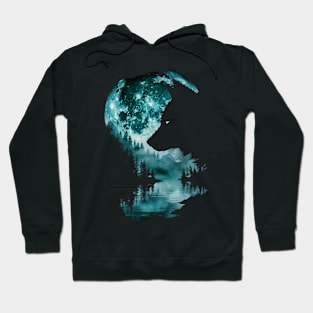 Wolf Myth Debunking Hoodie